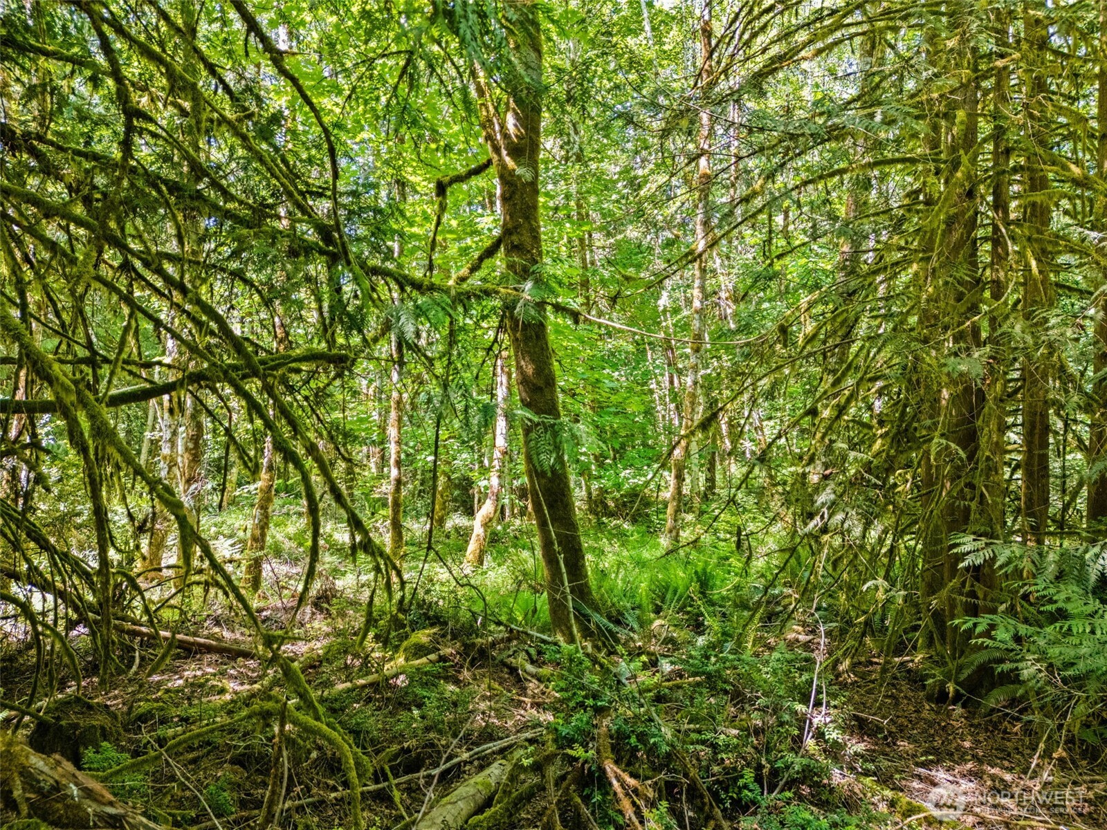 0 E Jared Road Shelton WA 98584