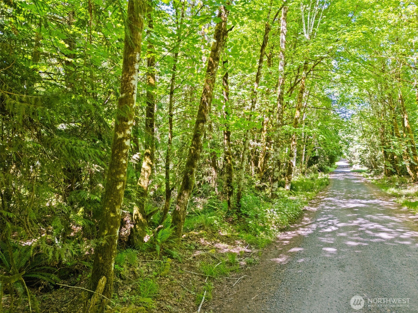 0 E Jared Road Shelton WA 98584