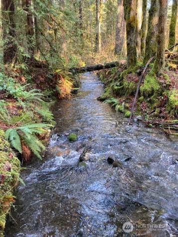 320 N Mount Jupiter Drive Hoodsport WA 98548