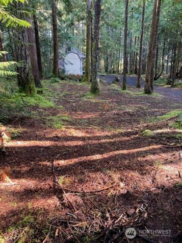 320 N Mount Jupiter Drive Hoodsport WA 98548