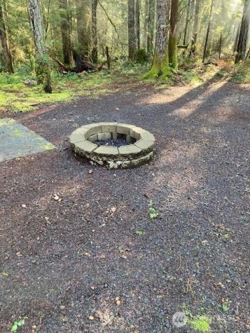 320 N Mount Jupiter Drive Hoodsport WA 98548