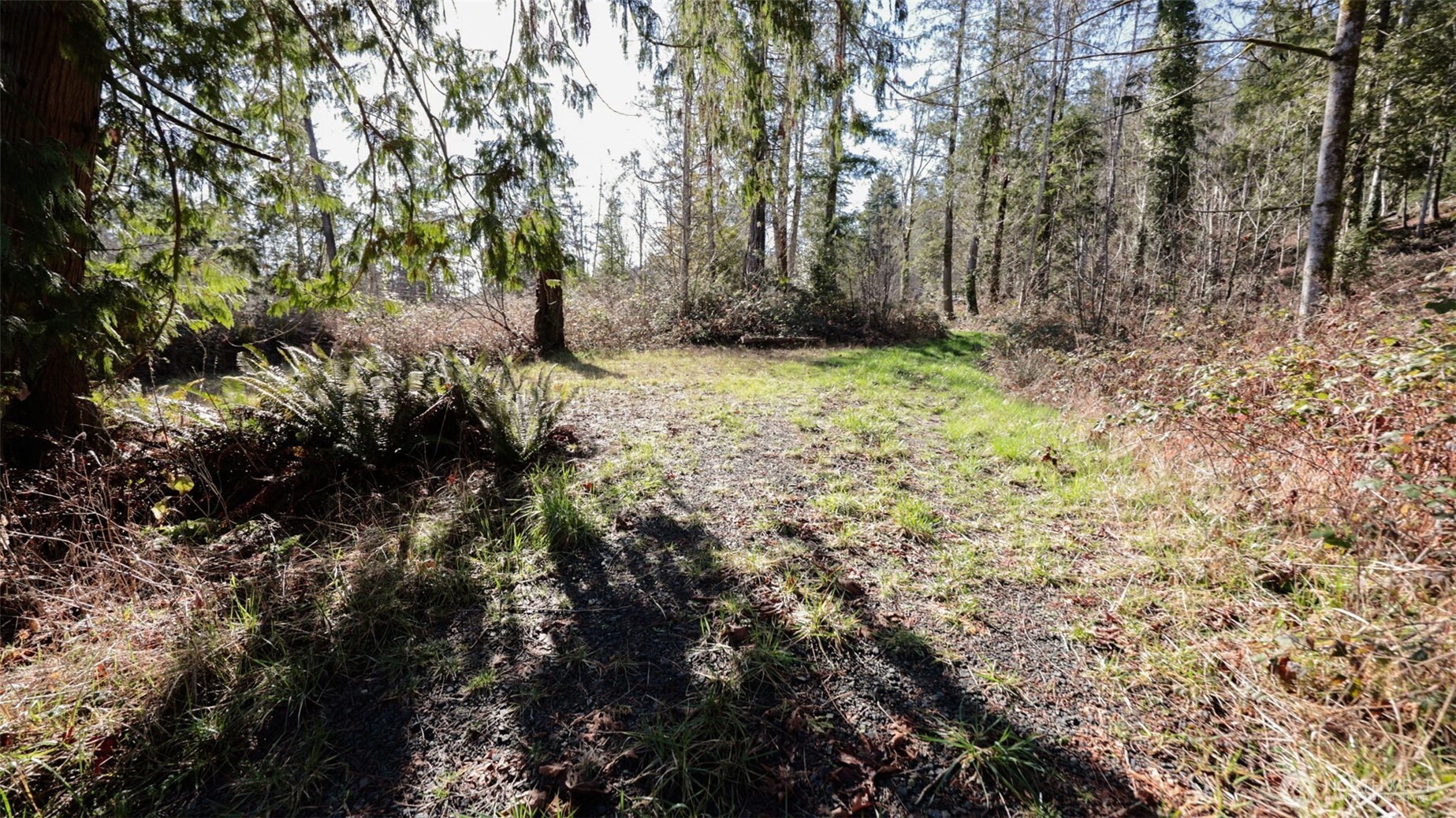 456 N Highway 101 Hoodsport WA 98548