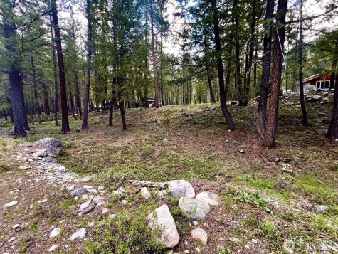 35 Emerson Road Mazama WA 98833