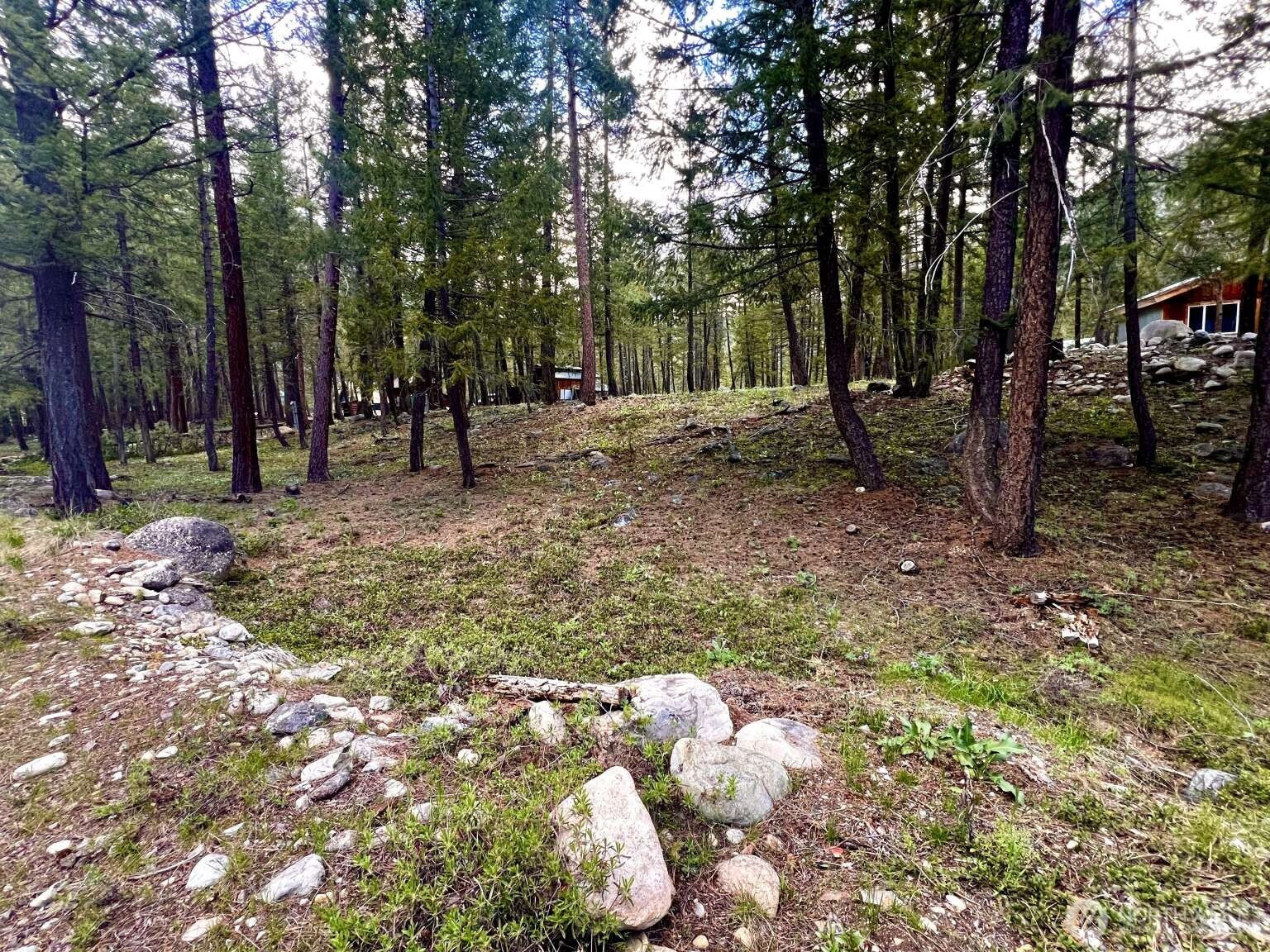 35 Emerson Road Mazama WA 98833