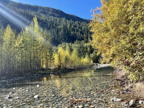 35 Emerson Road Mazama WA 98833