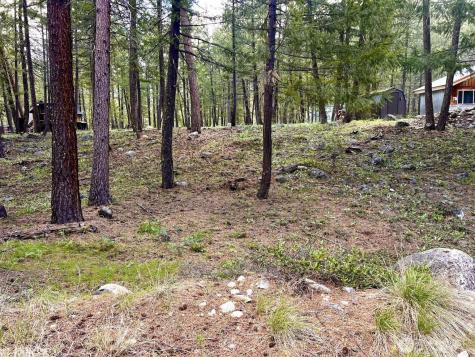 35 Emerson Road Mazama WA 98833