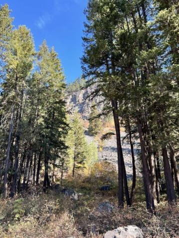 35 Emerson Road Mazama WA 98833