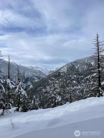 35 Emerson Road Mazama WA 98833