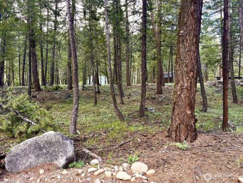 35 Emerson Road Mazama WA 98833