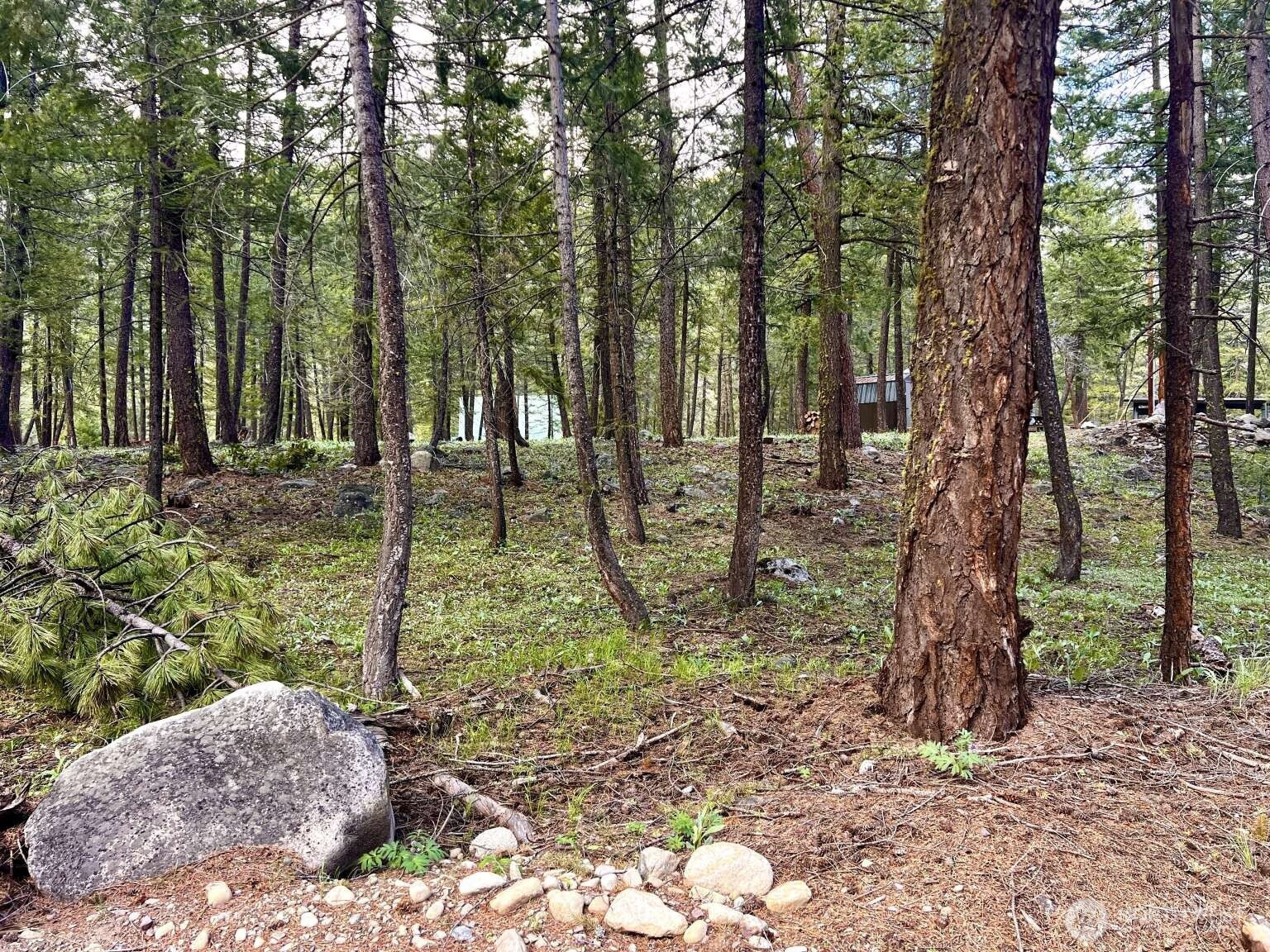 35 Emerson Road Mazama WA 98833