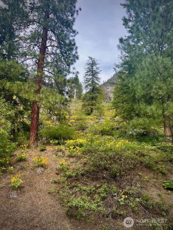 35 Emerson Road Mazama WA 98833
