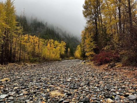35 Emerson Road Mazama WA 98833