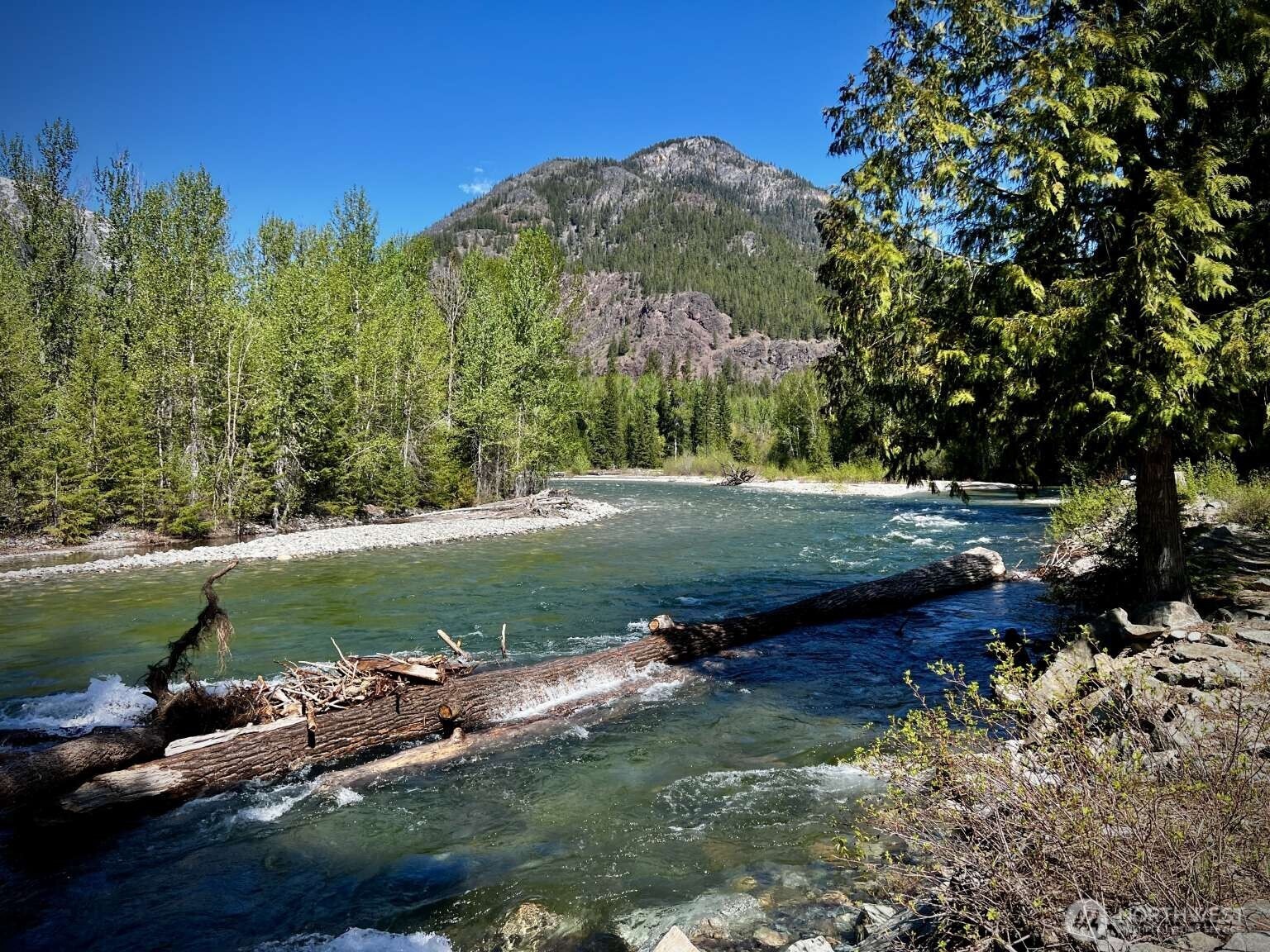 35 Emerson Road Mazama WA 98833