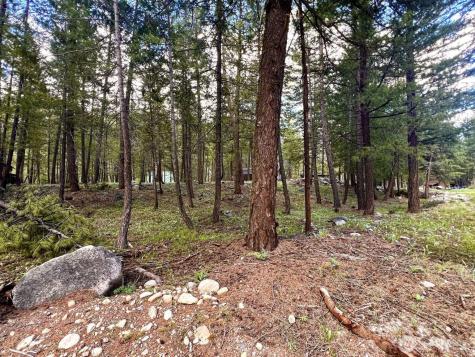 35 Emerson Road Mazama WA 98833