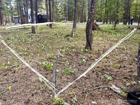 35 Emerson Road Mazama WA 98833