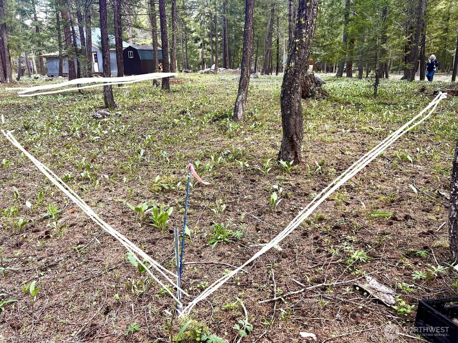 35 Emerson Road Mazama WA 98833