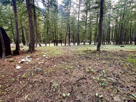 35 Emerson Road Mazama WA 98833