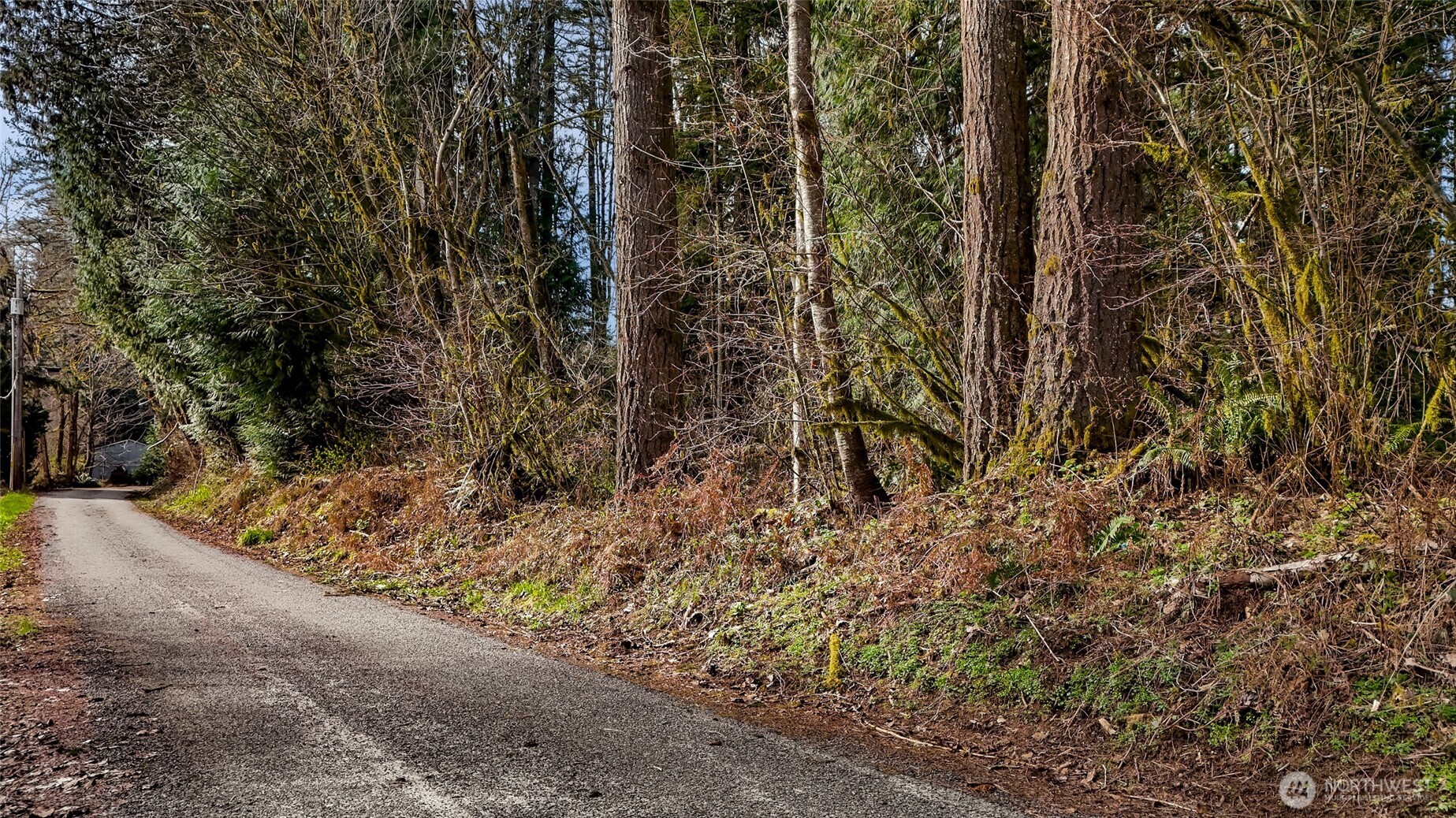 0 Yeager Road Concrete WA 98237