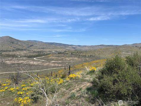 0 Lot 4 High Ranch Road Methow WA 98834