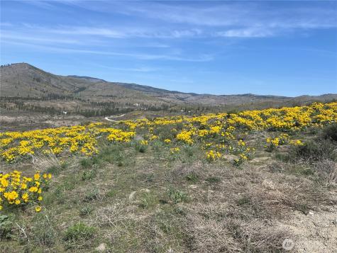 0 Lot 4 High Ranch Road Methow WA 98834