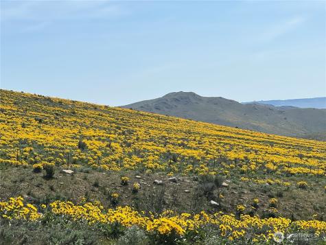 0 Lot 4 High Ranch Road Methow WA 98834