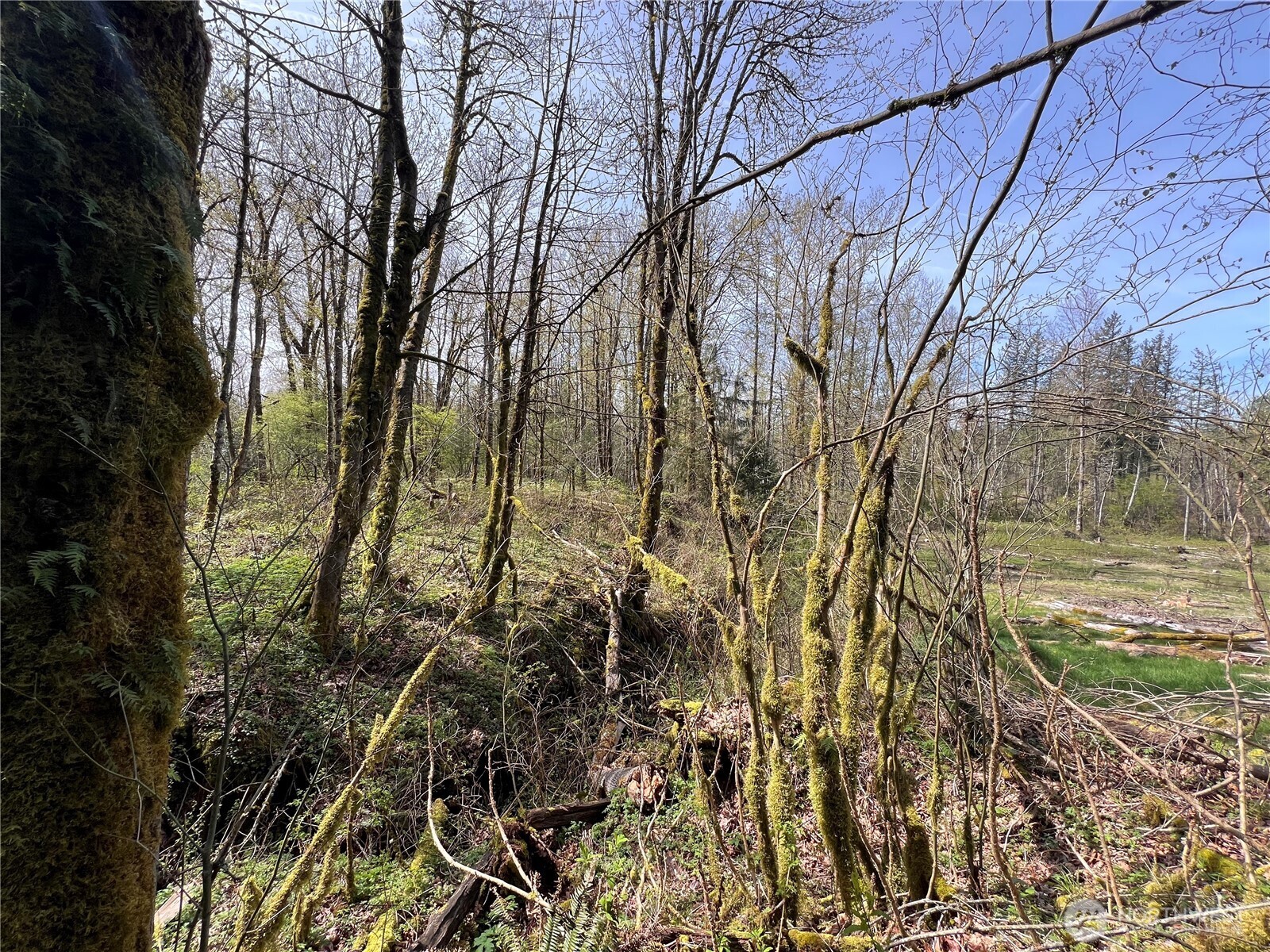 35 Cumberland Way SE Enumclaw WA 98022