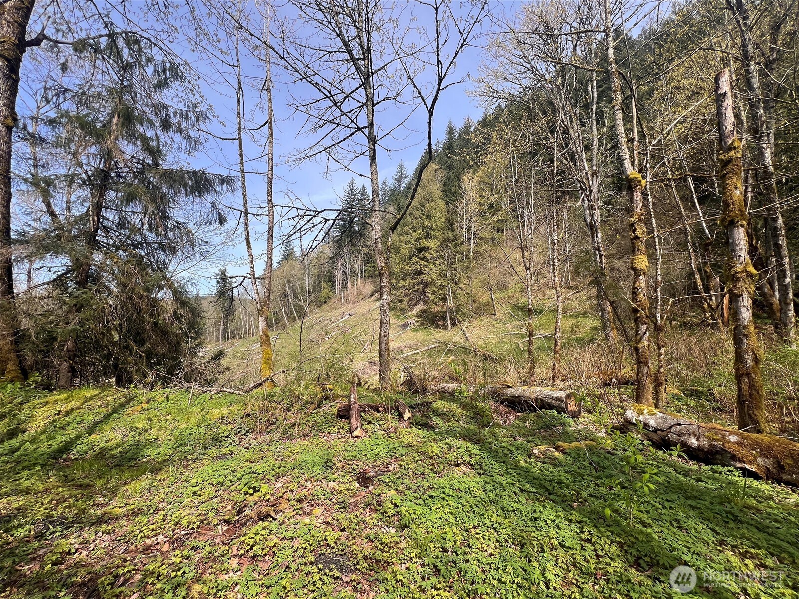 35 Cumberland Way SE Enumclaw WA 98022