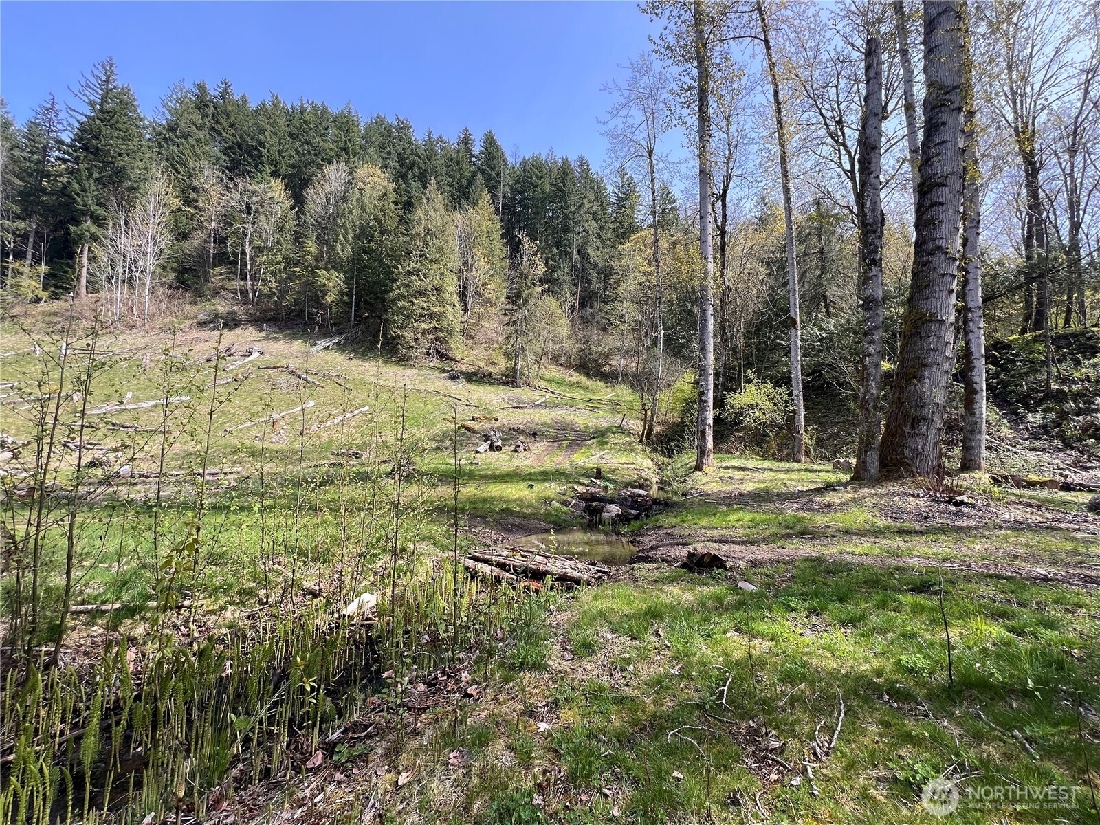 35 Cumberland Way SE Enumclaw WA 98022