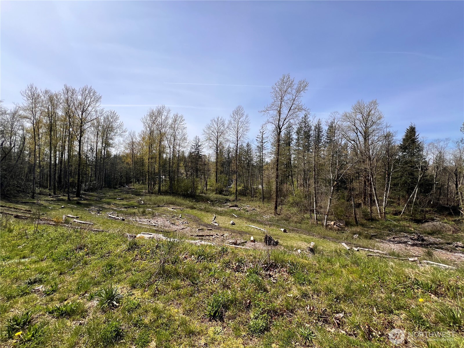 35 Cumberland Way SE Enumclaw WA 98022