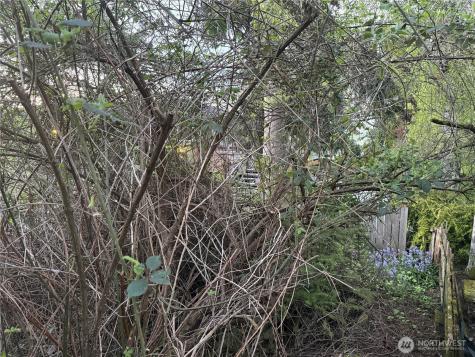 3722 20th Avenue SW Seattle WA 98106