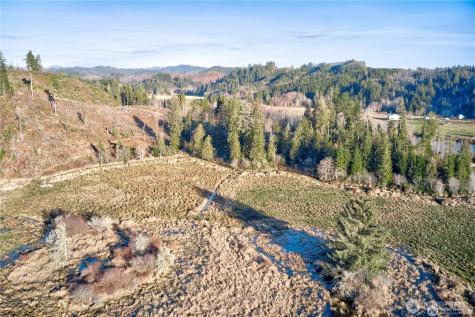 0 W Deep River Road Naselle WA 98638