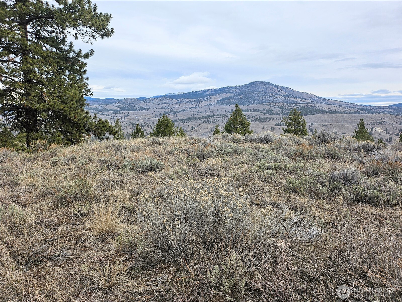 1 Tbd Badger Road Tonasket WA 98855