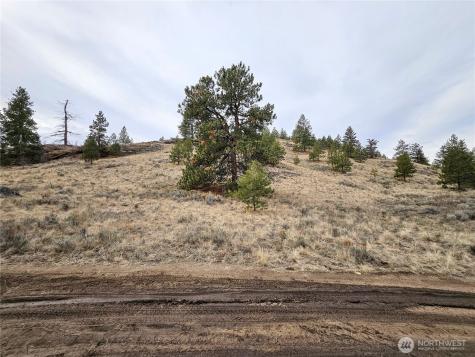 1 Tbd Badger Road Tonasket WA 98855