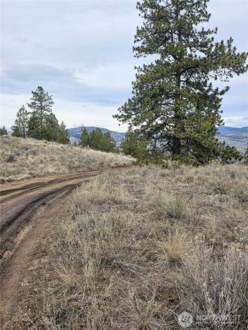 1 Tbd Badger Road Tonasket WA 98855