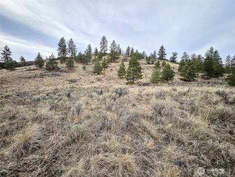 1 Tbd Badger Road Tonasket WA 98855