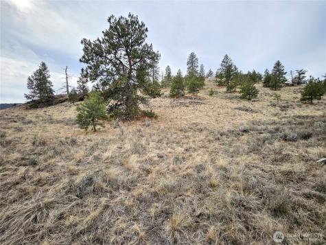 1 Tbd Badger Road Tonasket WA 98855