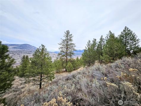 1 Tbd Badger Road Tonasket WA 98855