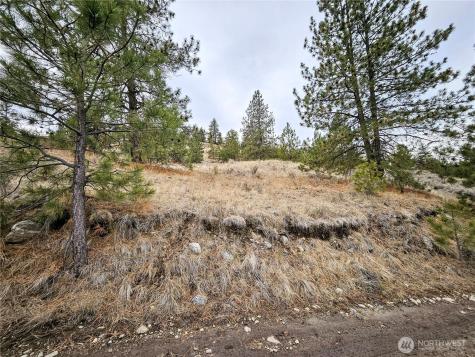 1 Tbd Badger Road Tonasket WA 98855