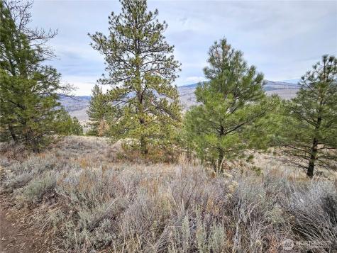 1 Tbd Badger Road Tonasket WA 98855