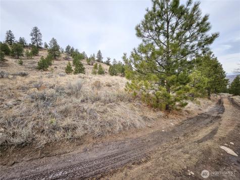 1 Tbd Badger Road Tonasket WA 98855