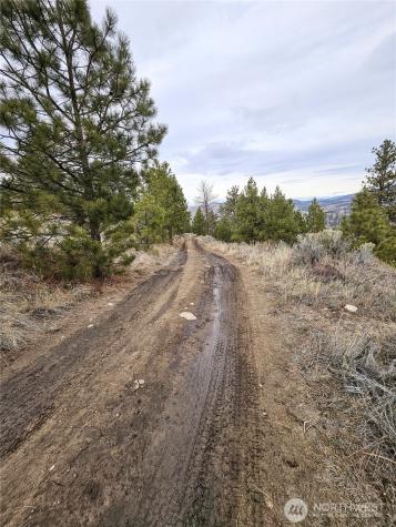1 Tbd Badger Road Tonasket WA 98855
