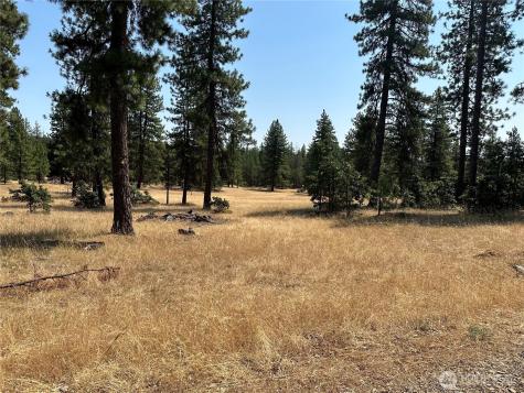 13 Greyback Mountain Road Goldendale WA 98620