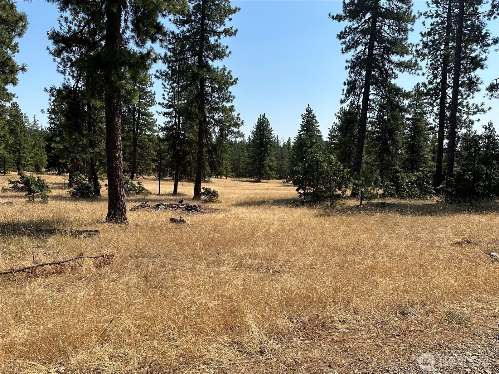 13 Greyback Mountain Road Goldendale WA 98620