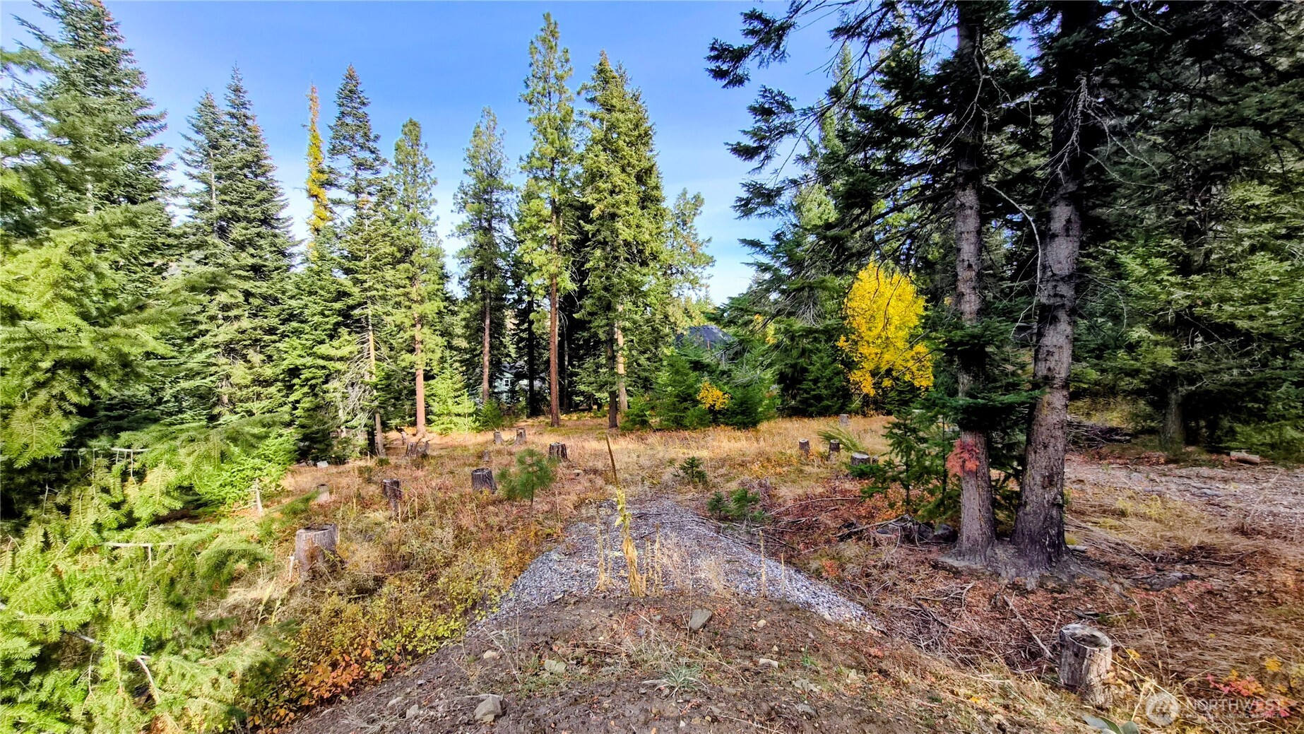 3080 Fircrest Wenatchee WA 98801