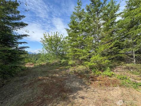 9999 Blue Mountain Road Port Angeles WA 98362