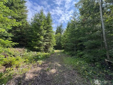 9999 Blue Mountain Road Port Angeles WA 98362