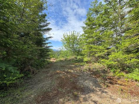9999 Blue Mountain Road Port Angeles WA 98362