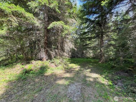 9999 Blue Mountain Road Port Angeles WA 98362