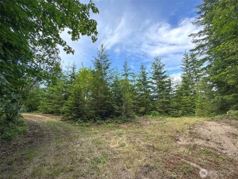 9999 Blue Mountain Road Port Angeles WA 98362