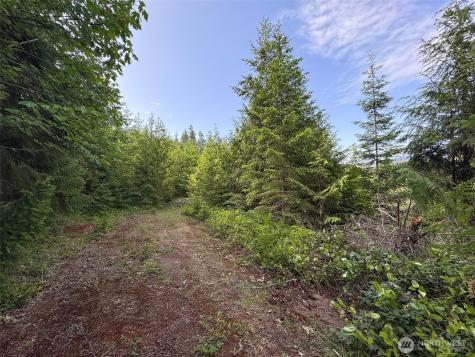 9999 Blue Mountain Road Port Angeles WA 98362